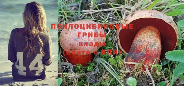 гидра Алзамай