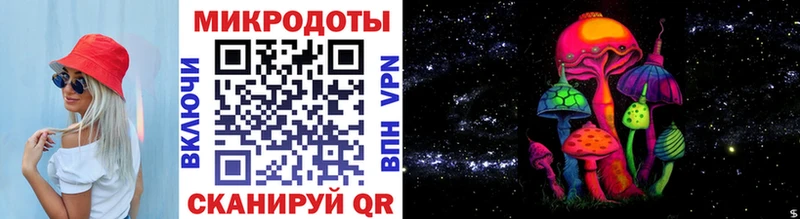 цена наркотик  Евпатория  KRAKEN как войти  Псилоцибиновые грибы Psilocybe 